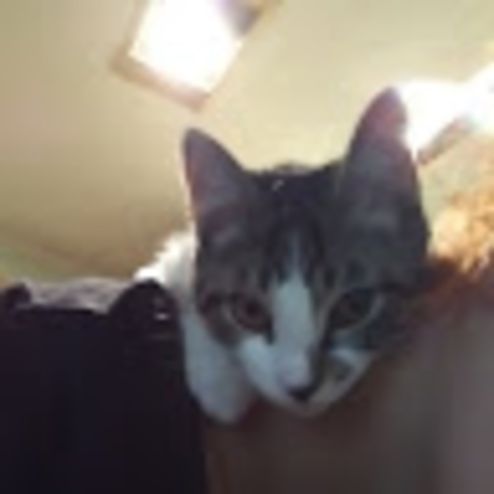 Meet your Posher, Keegan